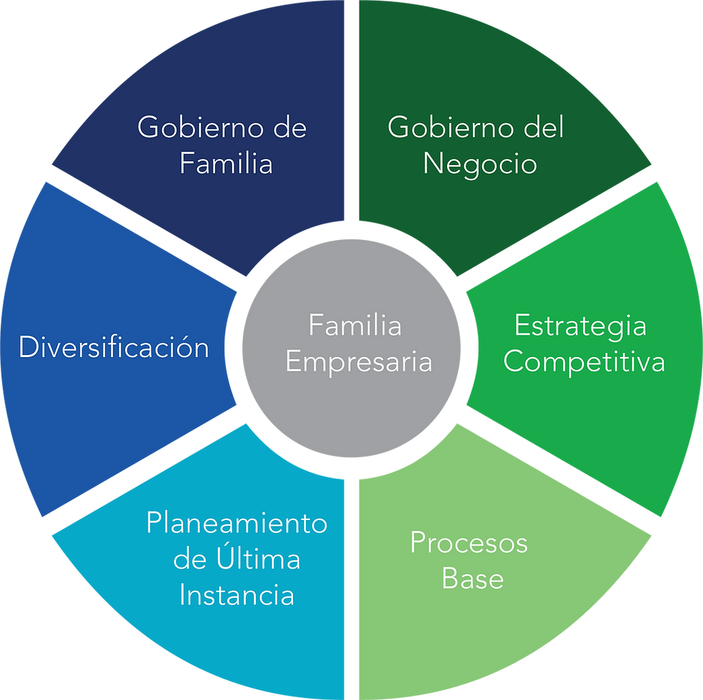 Círculo de Asesoría - Seis áreas de especialidad
